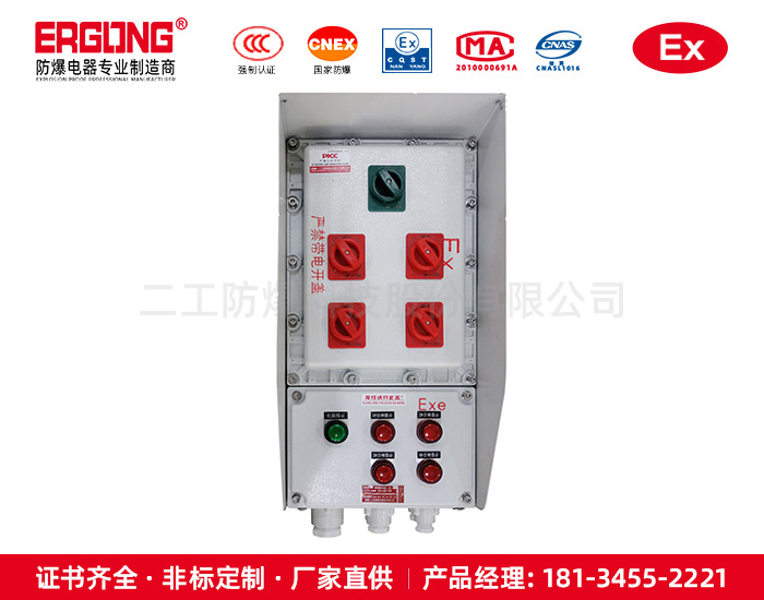 防爆星三角起動箱配電箱